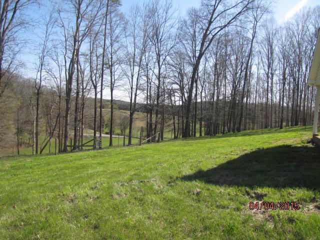 1150 Gallaher Road Philadelphia, TN 37846 - Photo 6 of 16 IMG_9808