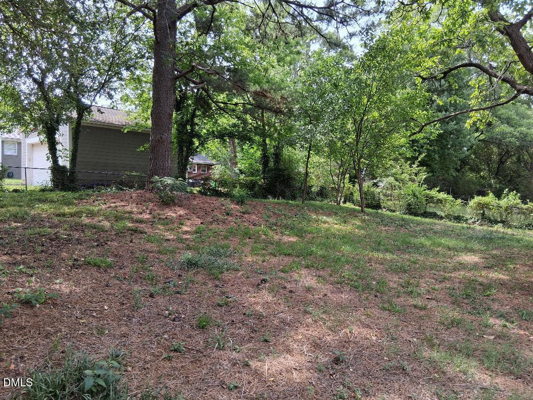 829 Greenwich Street Raleigh, NC 27610 - Photo 13 of 13 green back yd
