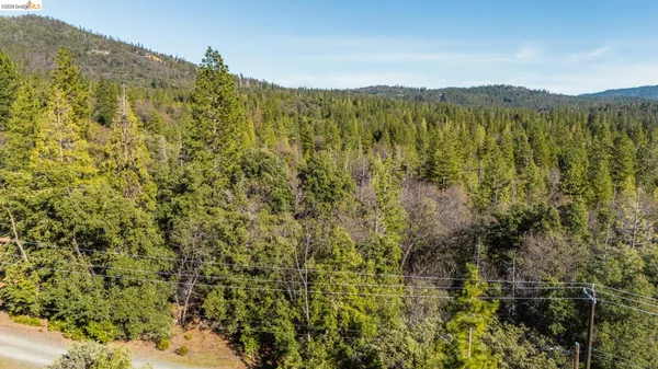 a view of a lush green forest with mountains in the background