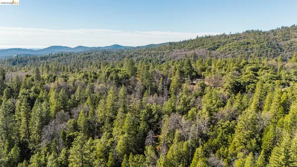 a view of a mountain in the distance