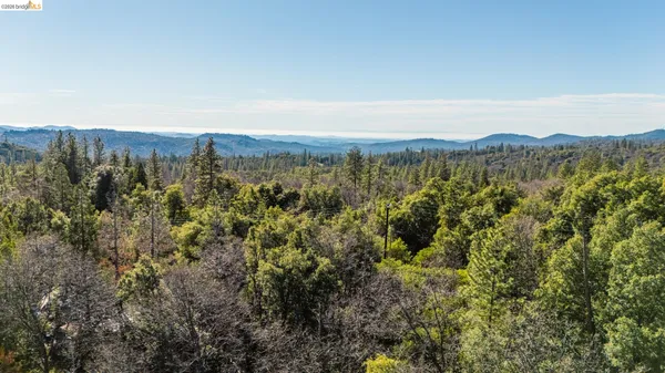a view of a city with lush green forest