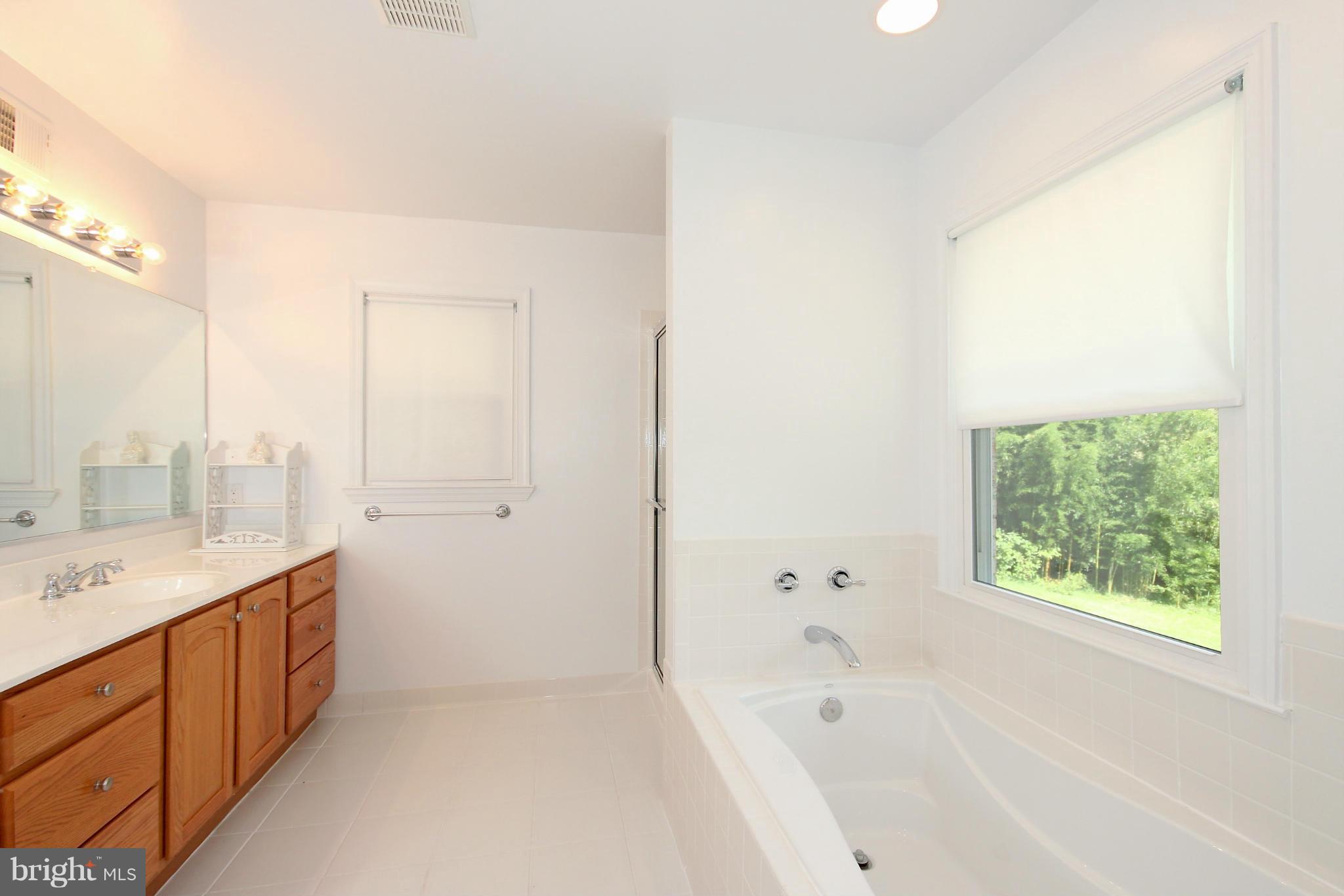 15000 Layhill Road Silver Spring, MD 20906 - Photo 13 of 23 Bath (Master)
