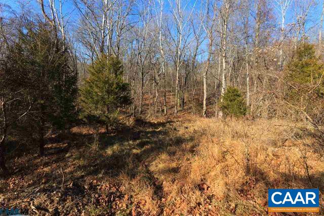 1729 Durrett Ridge Road Ruckersville, VA 22968 - Photo 15 of 18
