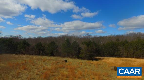 1729 Durrett Ridge Road Ruckersville, VA 22968 - Photo 4 of 18