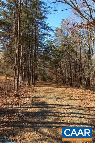 1729 Durrett Ridge Road Ruckersville, VA 22968 - Photo 8 of 18 a view of street view