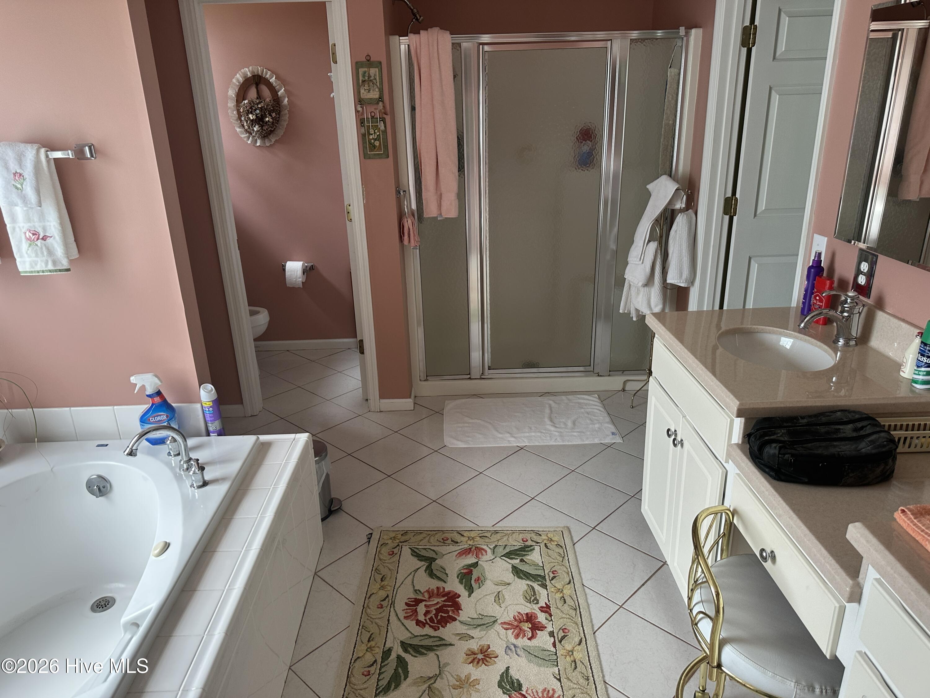 139 Broken Ridge Trail West End, NC 27376 - Photo 23 of 32 MBR bath