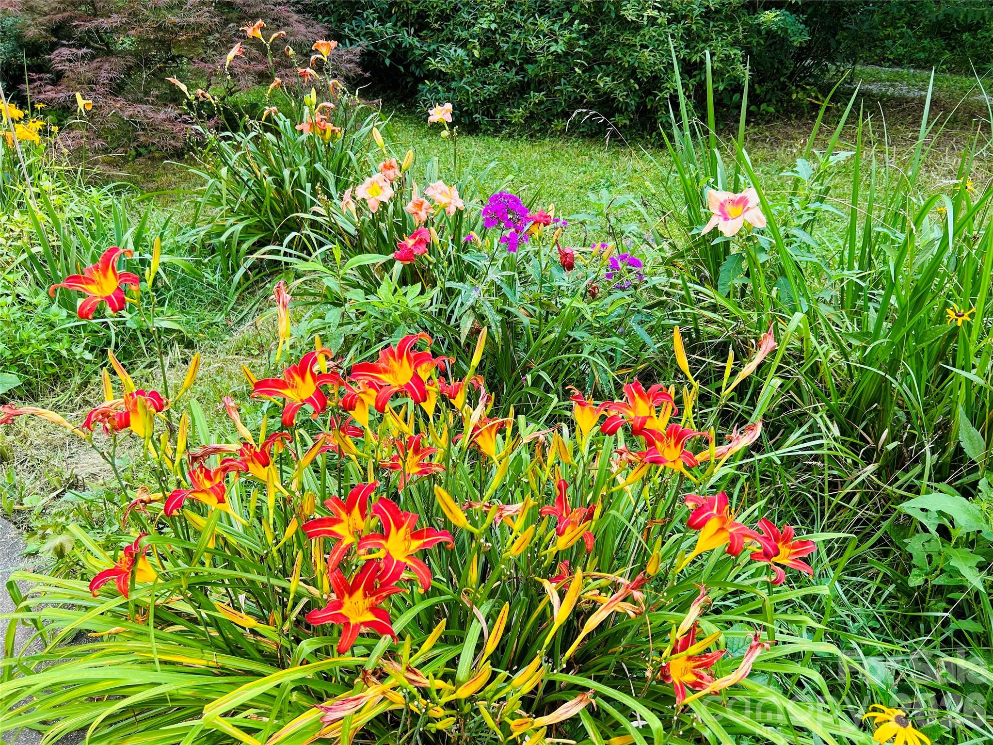 586 Liberty Church Road Marion, NC 28752 - Photo 43 of 48 Gallery Image 43