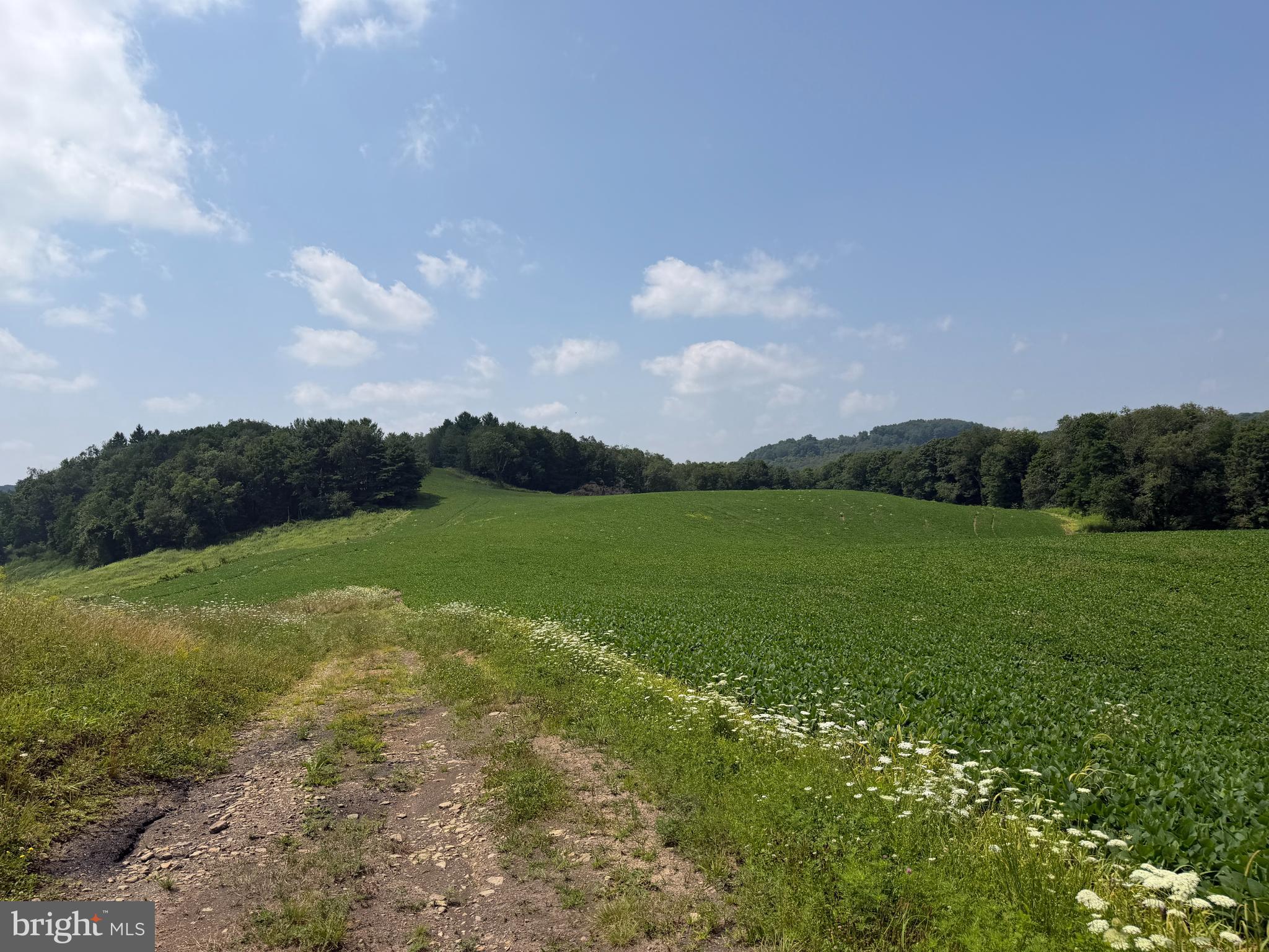 361 Caney Valley Road Markleysburg, PA 15459 - Photo 49 of 91 Gallery Image 49