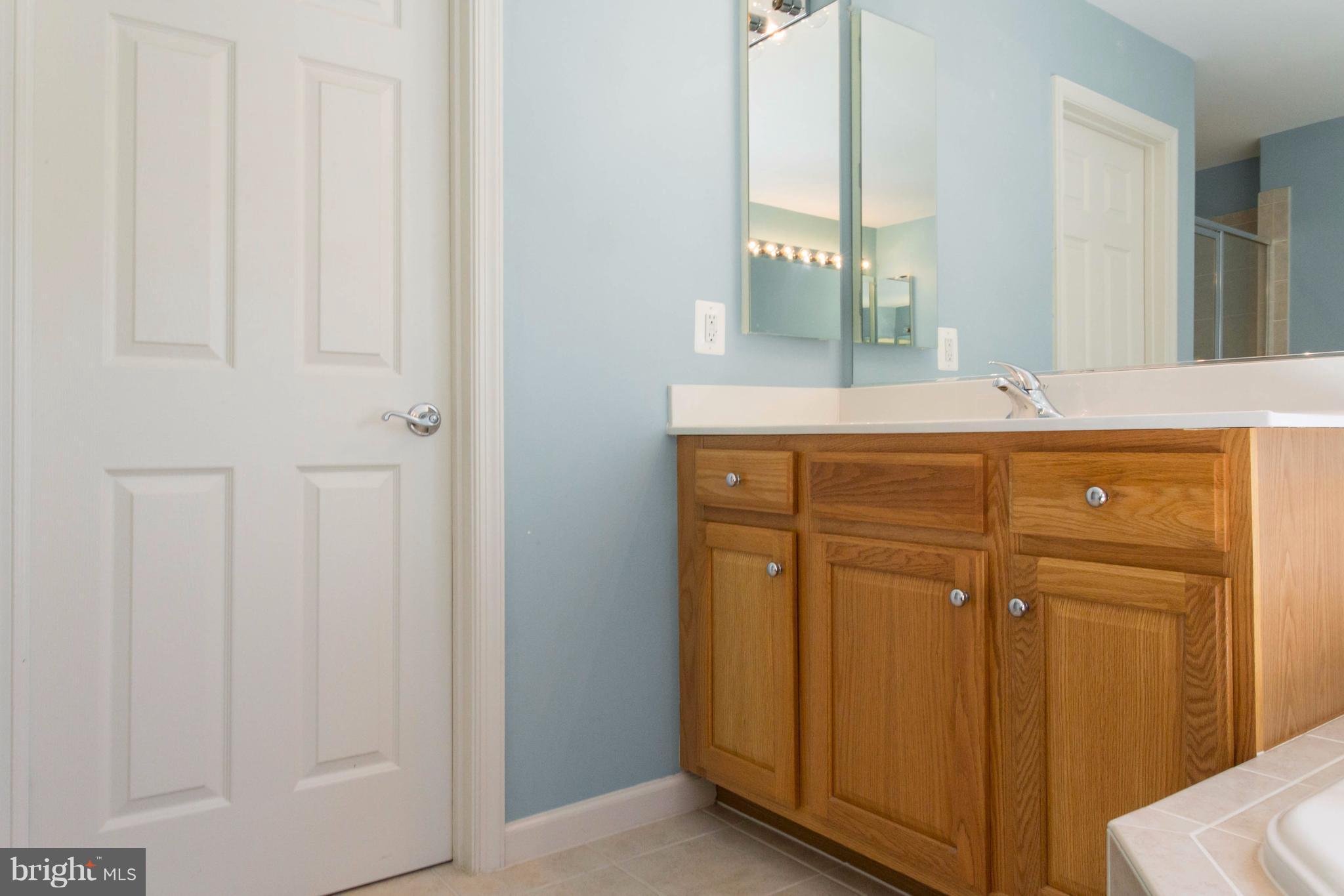 4028 Sapling Way Triangle, VA 22172 - Photo 27 of 30 Bath (Master)