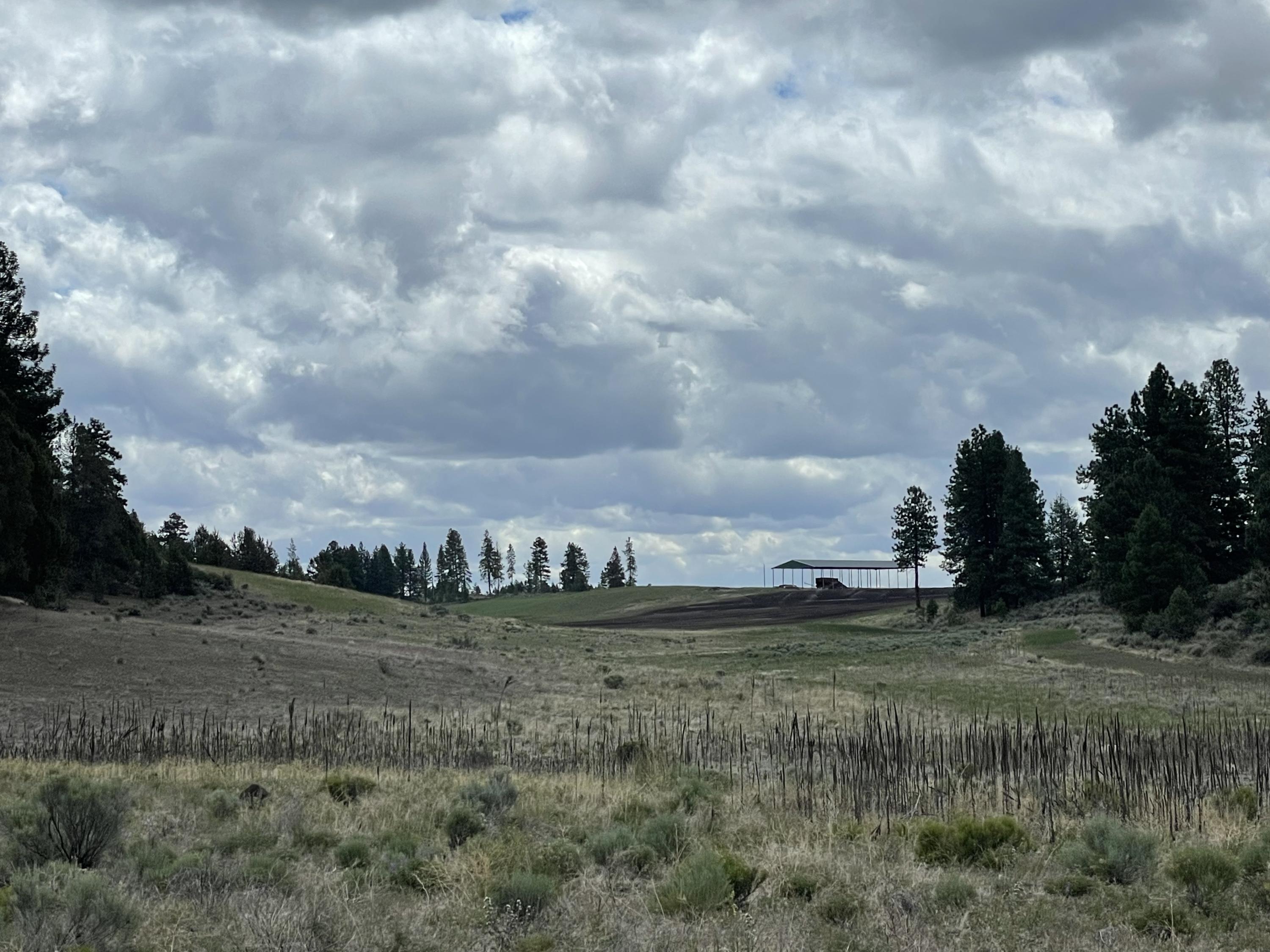 Petersteiner Road Bonanza, OR 97623 - Photo 2 of 3 B01EAB09-D92F-4BEC-A17E-C009FC7E37BE