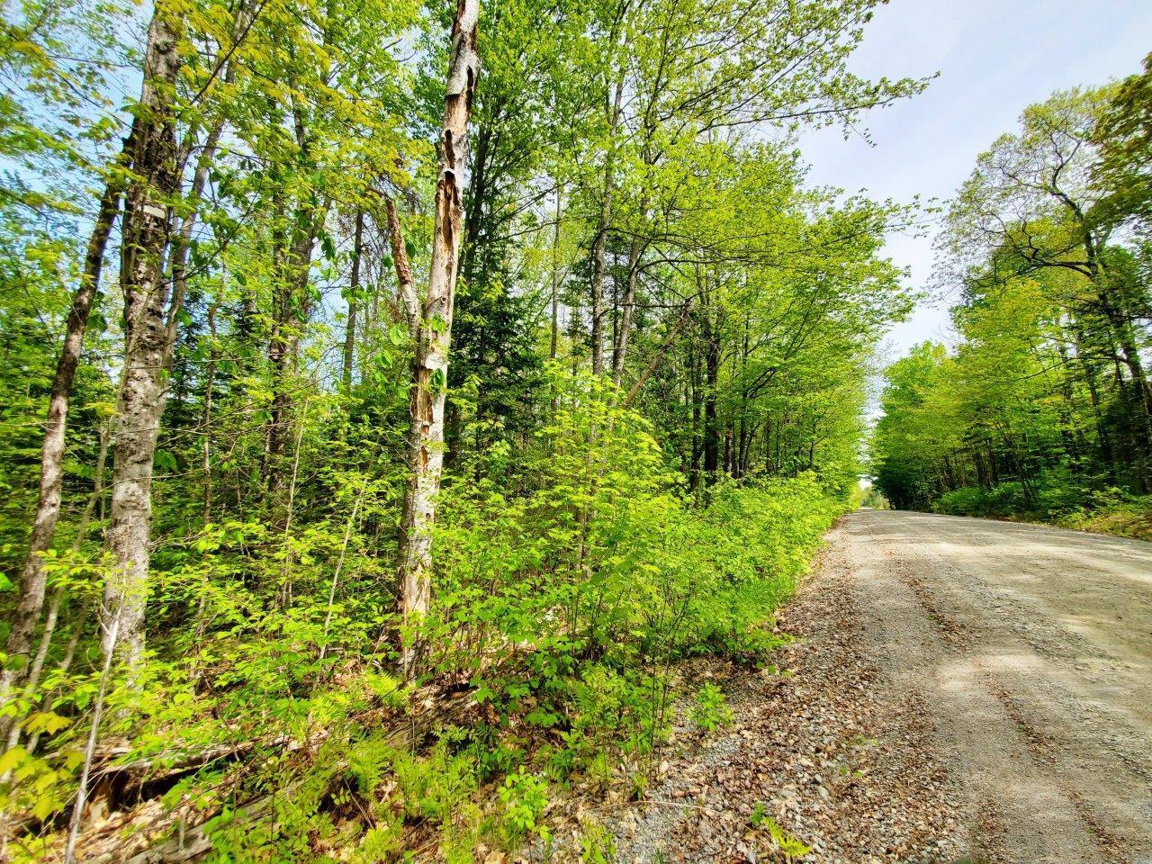 Lot 3 Maple Road Milo, ME 04463 - Photo 19 of 22 20260523_141137 adj