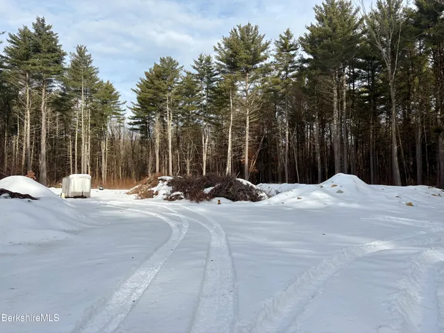 a view of a street with a bench and trees
