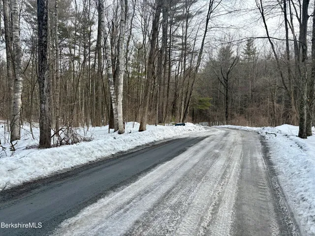 a view of backyard space with trees