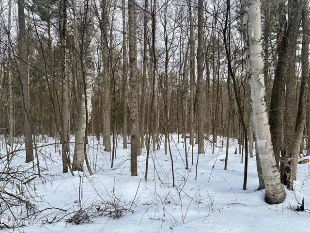 a view of outdoor space with lots of trees