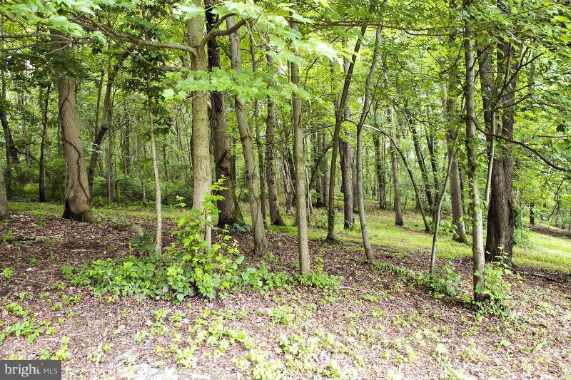 1651 Kerr Road Whiteford, MD 21160 - Photo 5 of 22 View