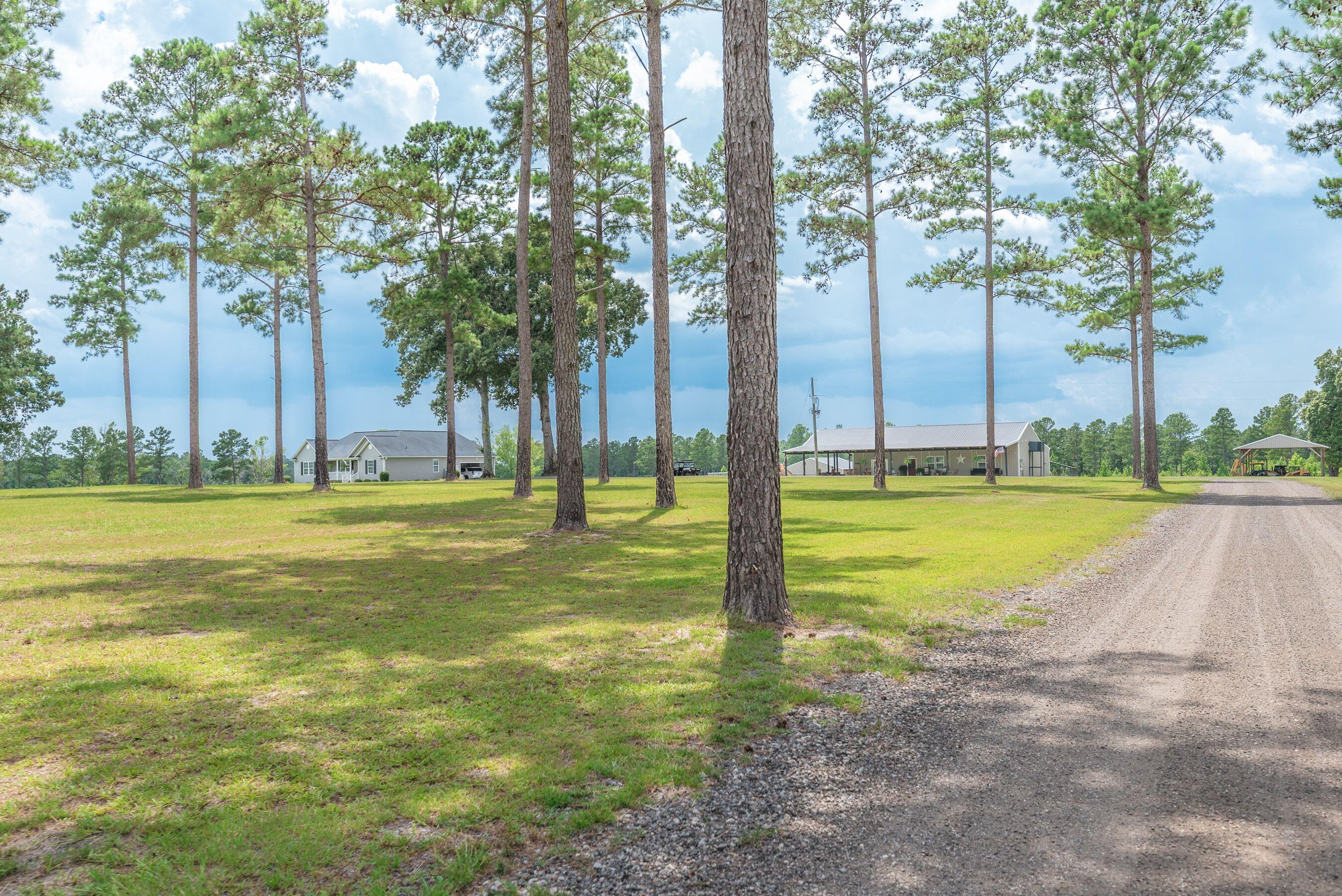 2650 State Rd S-6-54 Barnwell, SC 29812 - Photo 74 of 80