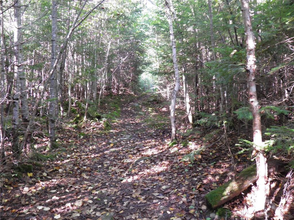 0 Edelheid Road Sandy River Plt, ME 04970 - Photo 9 of 22 Photo