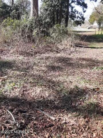 0 West 1st Street Ayden, NC 28513 - Photo 3 of 15 Resized_20240214_123220