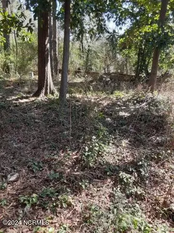 $42,500 | 0 West 1st Street, Ayden, NC 28513