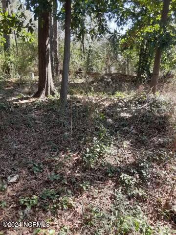 0 West 1st Street Ayden, NC 28513 - Photo 6 of 15 Resized_20240214_123133