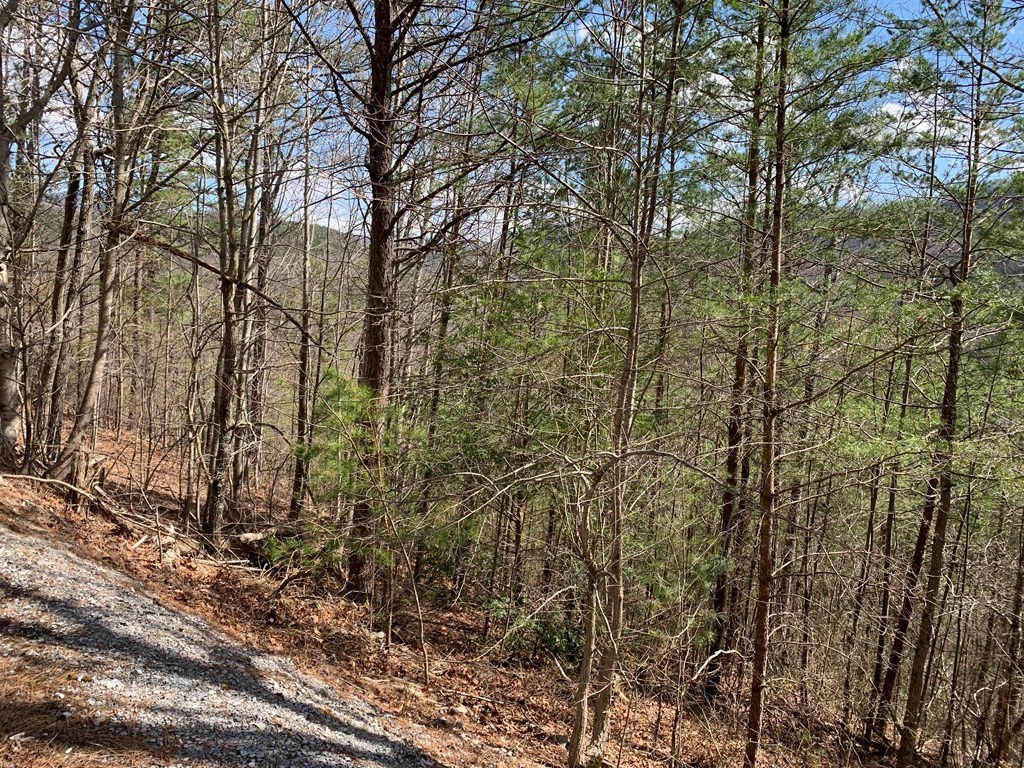 40 Ridgeback Lane Sevierville, TN 37862 - Photo 9 of 14 Gallery Image 9