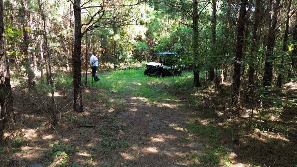 1168 Mitchell Road Meigs, GA 31765 - Photo 29 of 62 Interior Trails through the Pine Tres