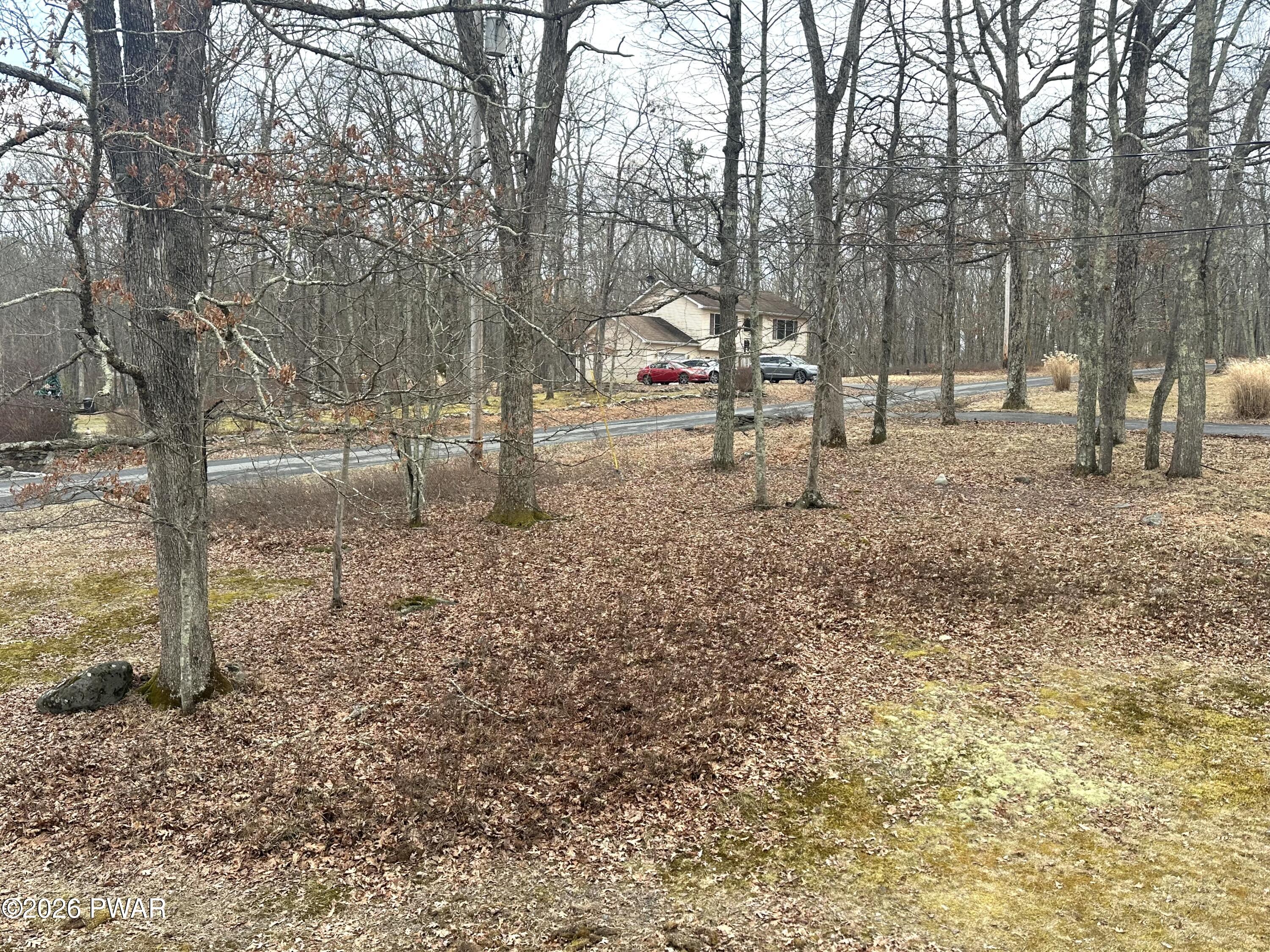 2116 Spring Drive Bushkill, PA 18324 - Photo 18 of 19 a backyard of a house with lots of green space