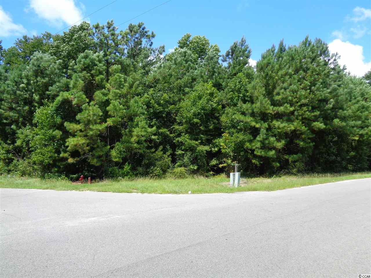 Dogwood Road Longs, SC 29568 - Photo 1 of 3 Gallery Image 1
