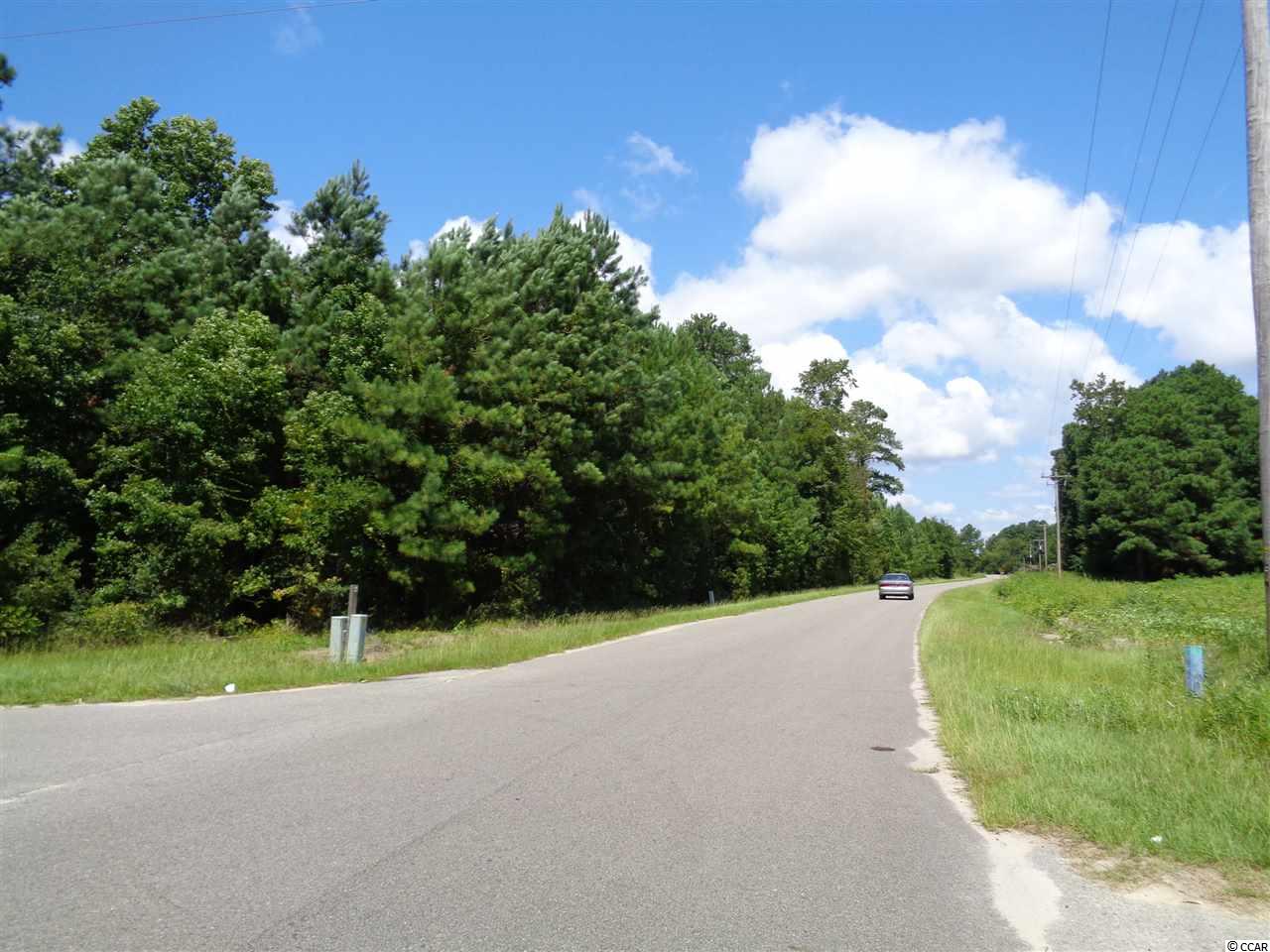 Dogwood Road Longs, SC 29568 - Photo 2 of 3 Gallery Image 2