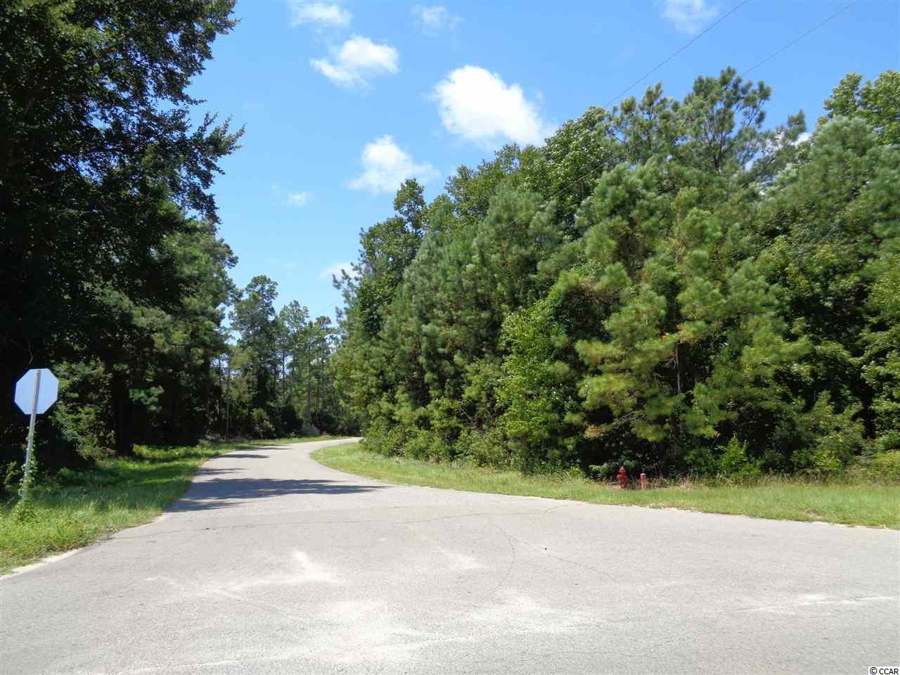 Dogwood Road Longs, SC 29568 - Photo 3 of 3 Gallery Image 3