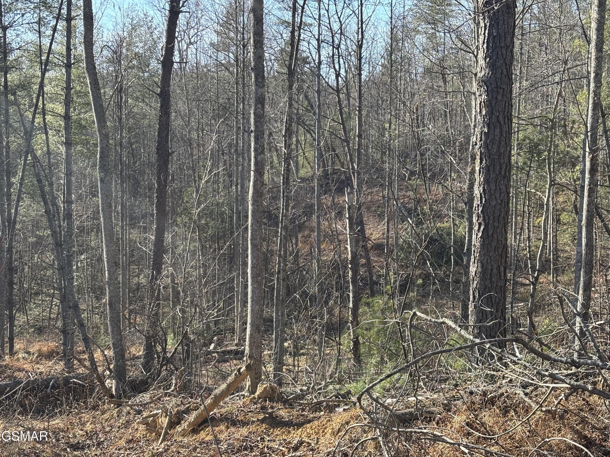 1 Bull Mountain Road Del Rio, TN 37727 - Photo 6 of 13 Gallery Image 6