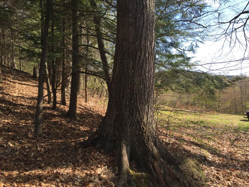 Lot 3 Sunset Lake Road Brattleboro, VT 05301 - Photo 5 of 19