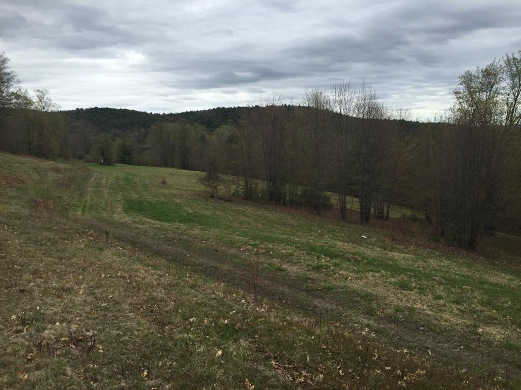 Lot 3 Sunset Lake Road Brattleboro, VT 05301 - Photo 8 of 19