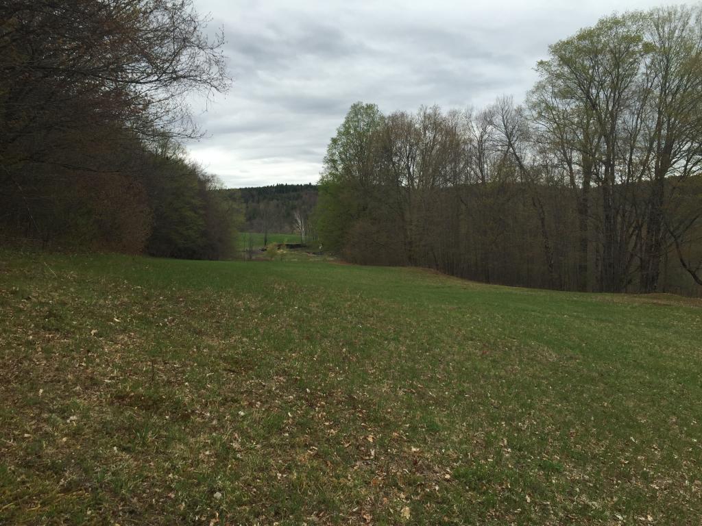 Lot 3 Sunset Lake Road Brattleboro, VT 05301 - Photo 9 of 19