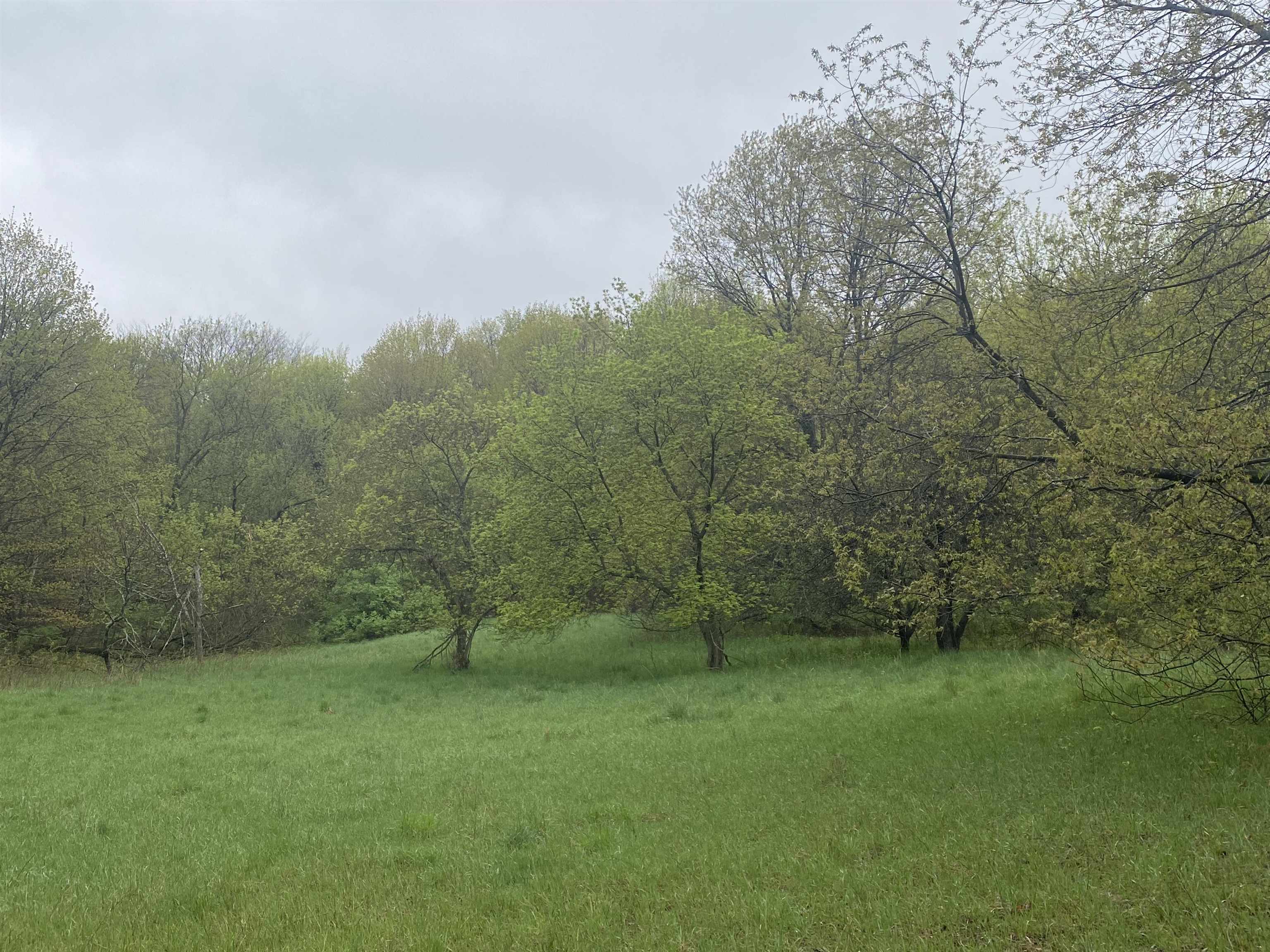 F North Marshall Road Beulah, MI 49617 - Photo 1 of 7