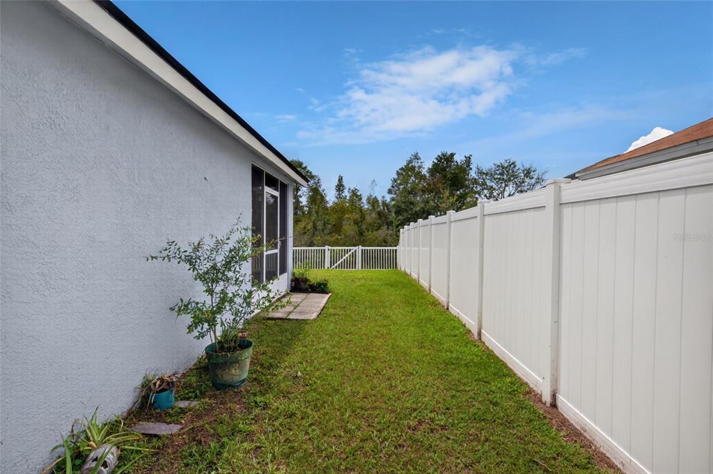 24331 Crosscut Road Lutz, FL 33559 - Photo 46 of 46 Gallery Image 46