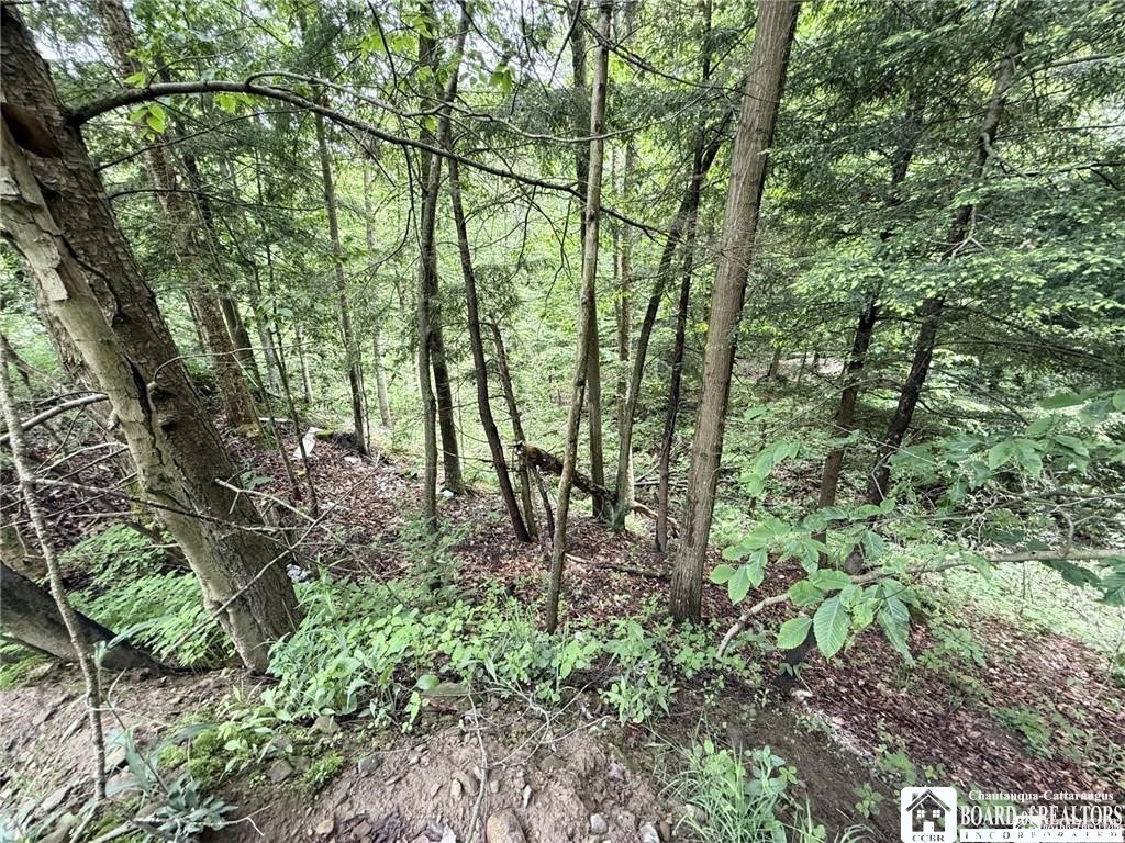 0 Luce Road Bemus Point, NY 14712 - Photo 23 of 39