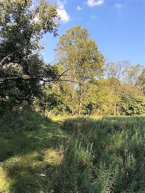103-acres Sipple Road Dry Ridge, KY 41035 - Photo 8 of 21