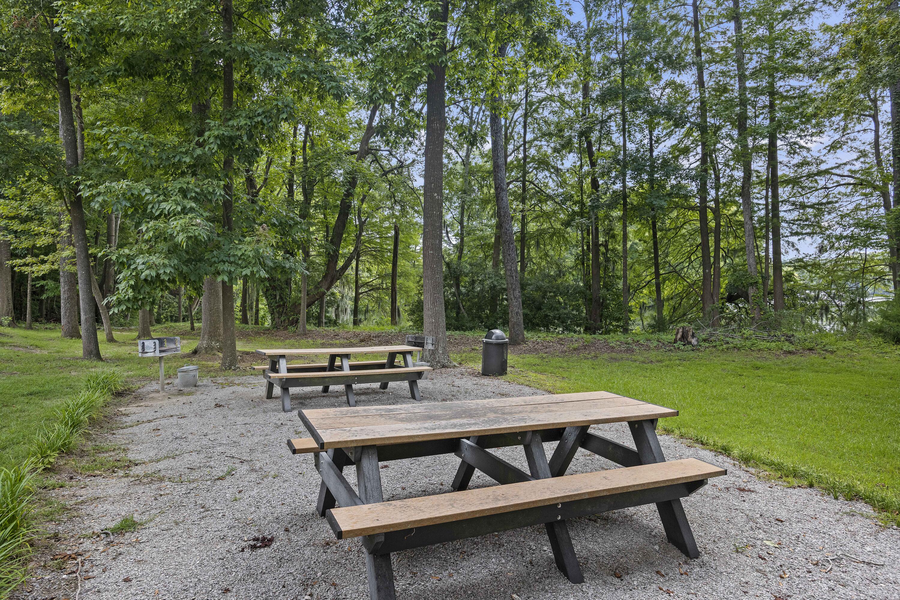 145 Ballard Lane Santee, SC 29142 - Photo 30 of 36 Grilling and Picnic Area