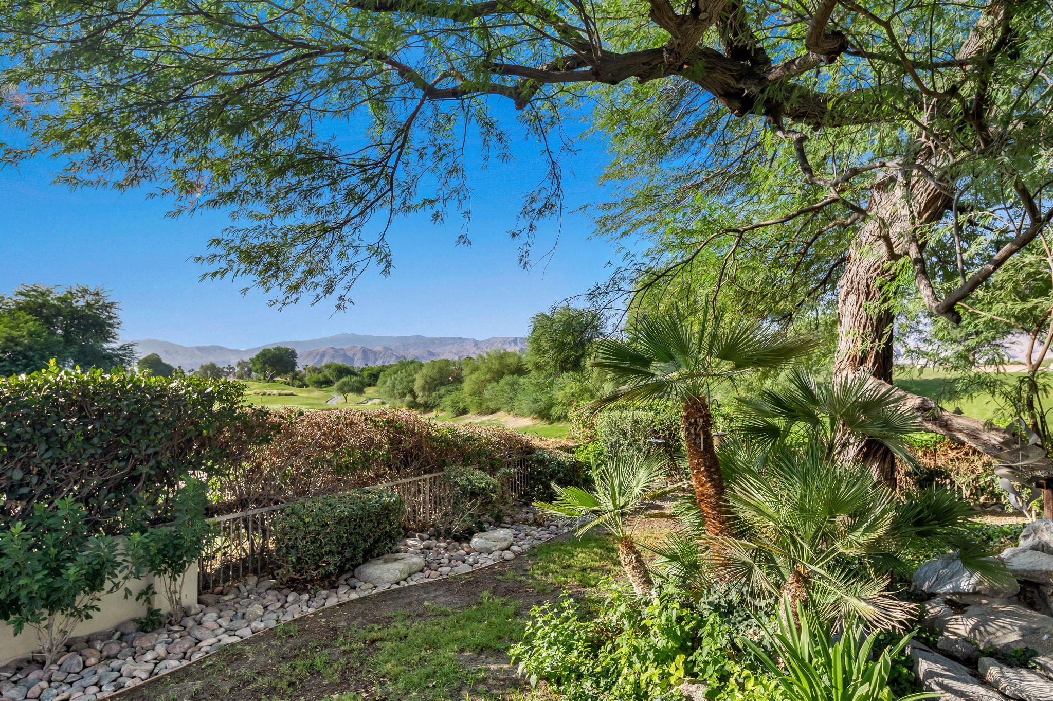 202 Loch Lomond Road Rancho Mirage, CA 92270 - Photo 36 of 47 a view of a garden