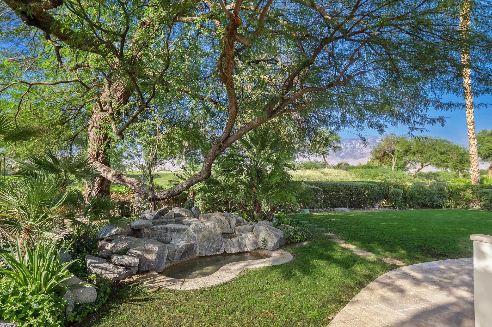 202 Loch Lomond Road Rancho Mirage, CA 92270 - Photo 37 of 47 a view of a garden with a tree