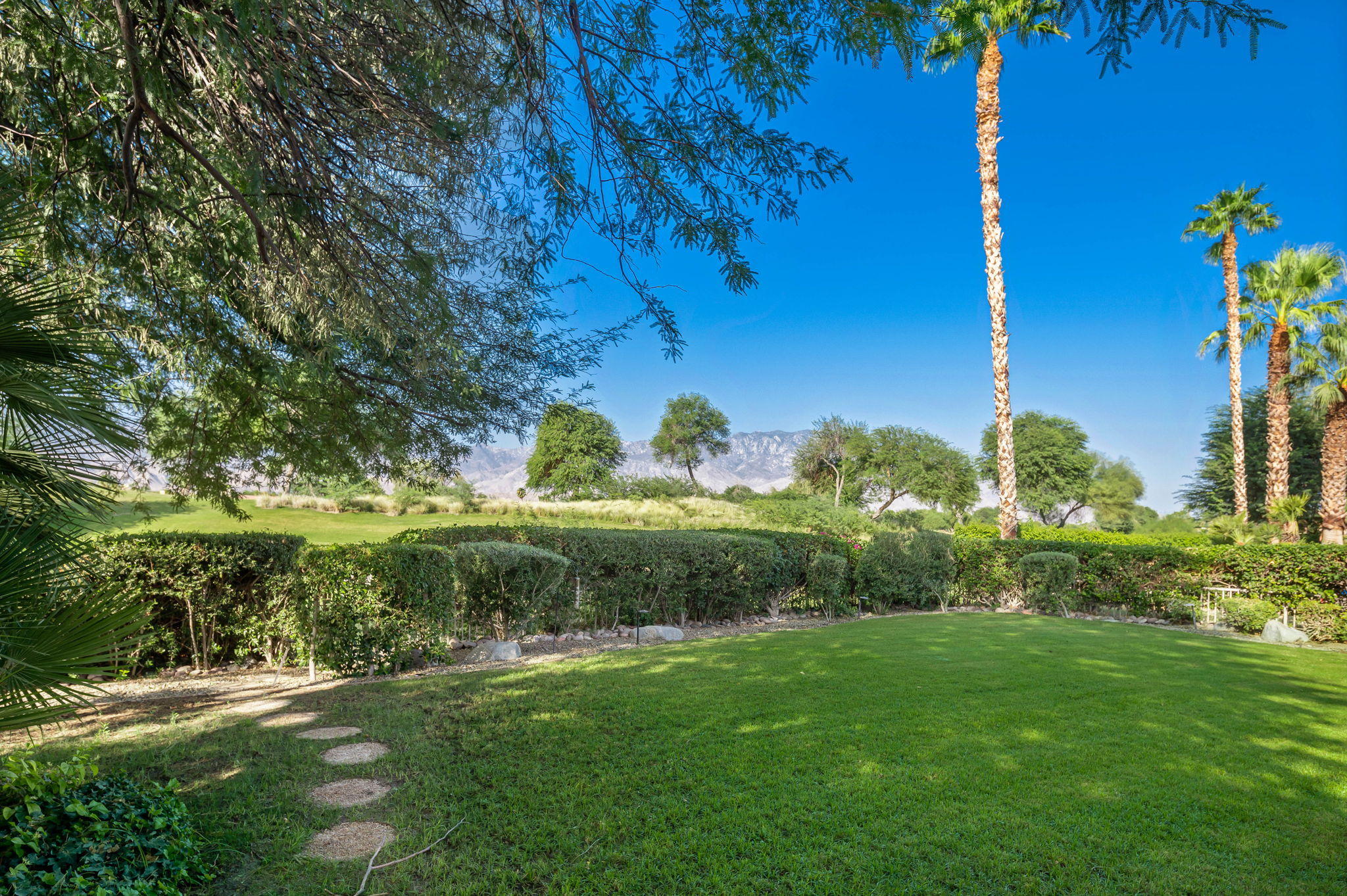202 Loch Lomond Road Rancho Mirage, CA 92270 - Photo 38 of 47 a view of a garden with a tree