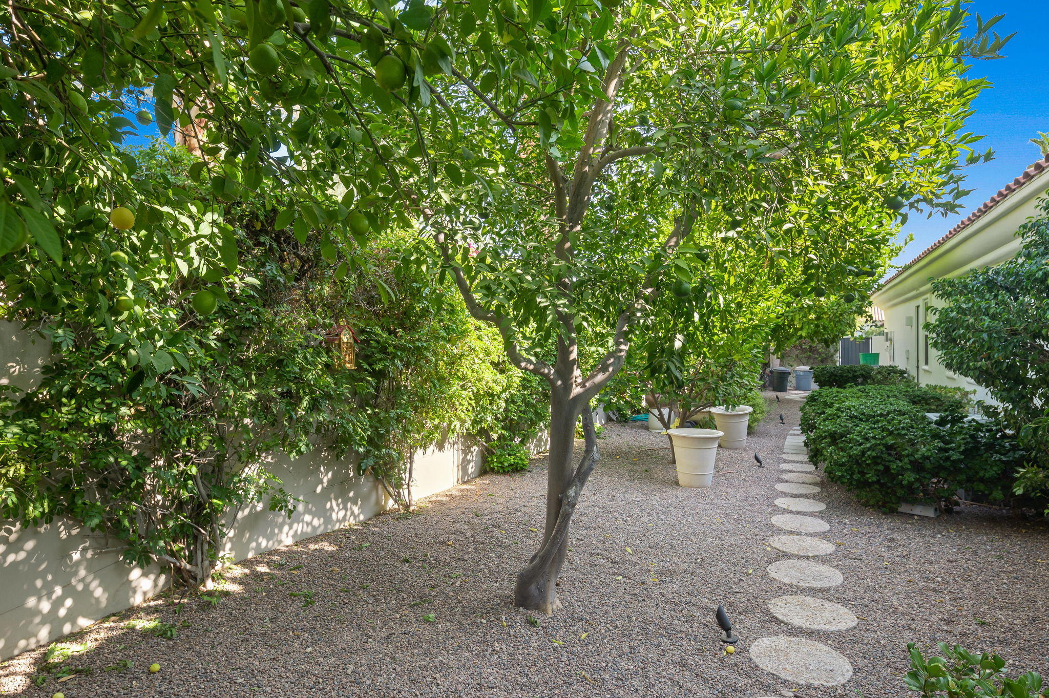 202 Loch Lomond Road Rancho Mirage, CA 92270 - Photo 43 of 47 a view of an outdoor space and a yard