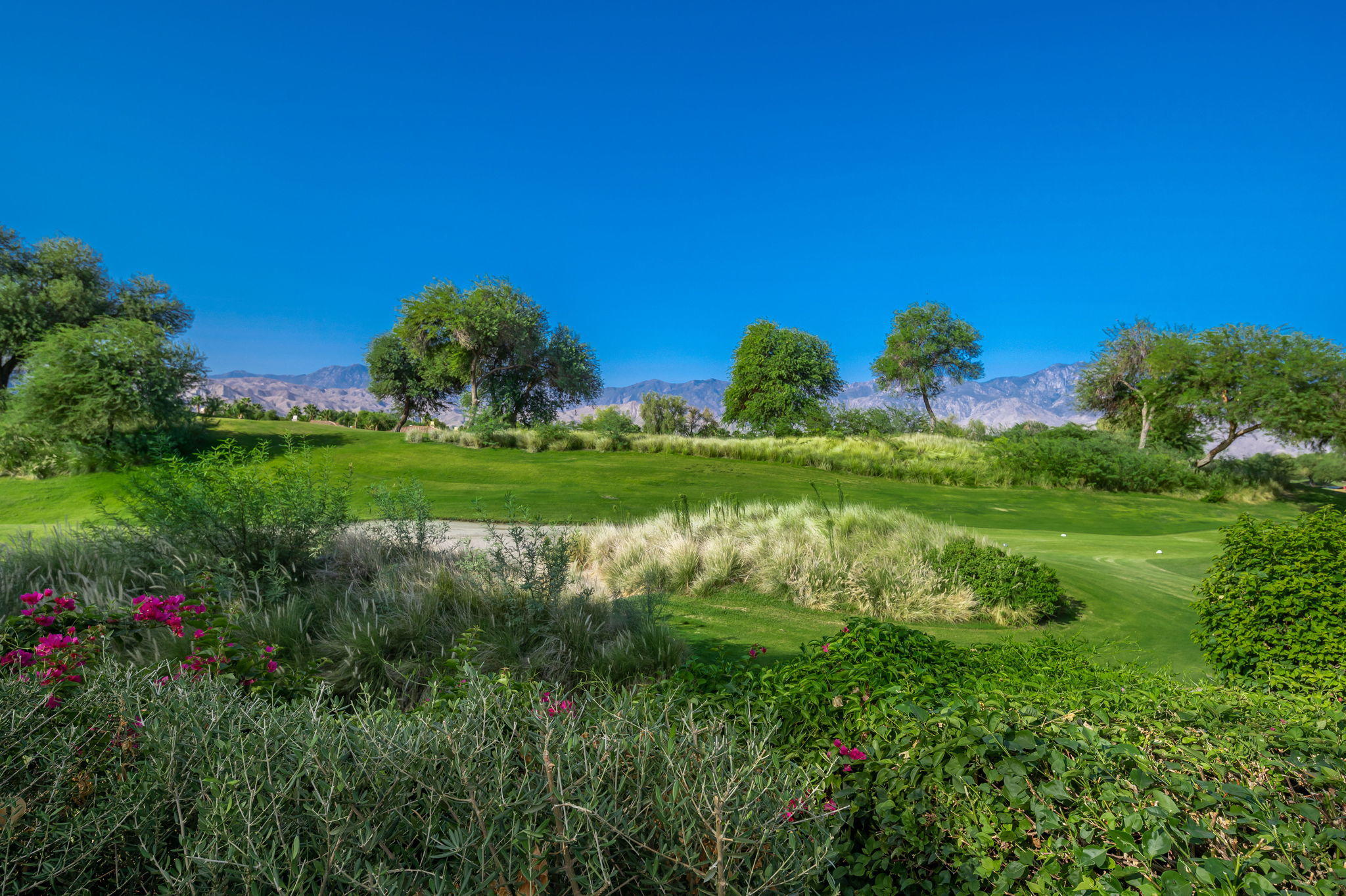 202 Loch Lomond Road Rancho Mirage, CA 92270 - Photo 44 of 47 a backyard of a house with lots of green space and plants