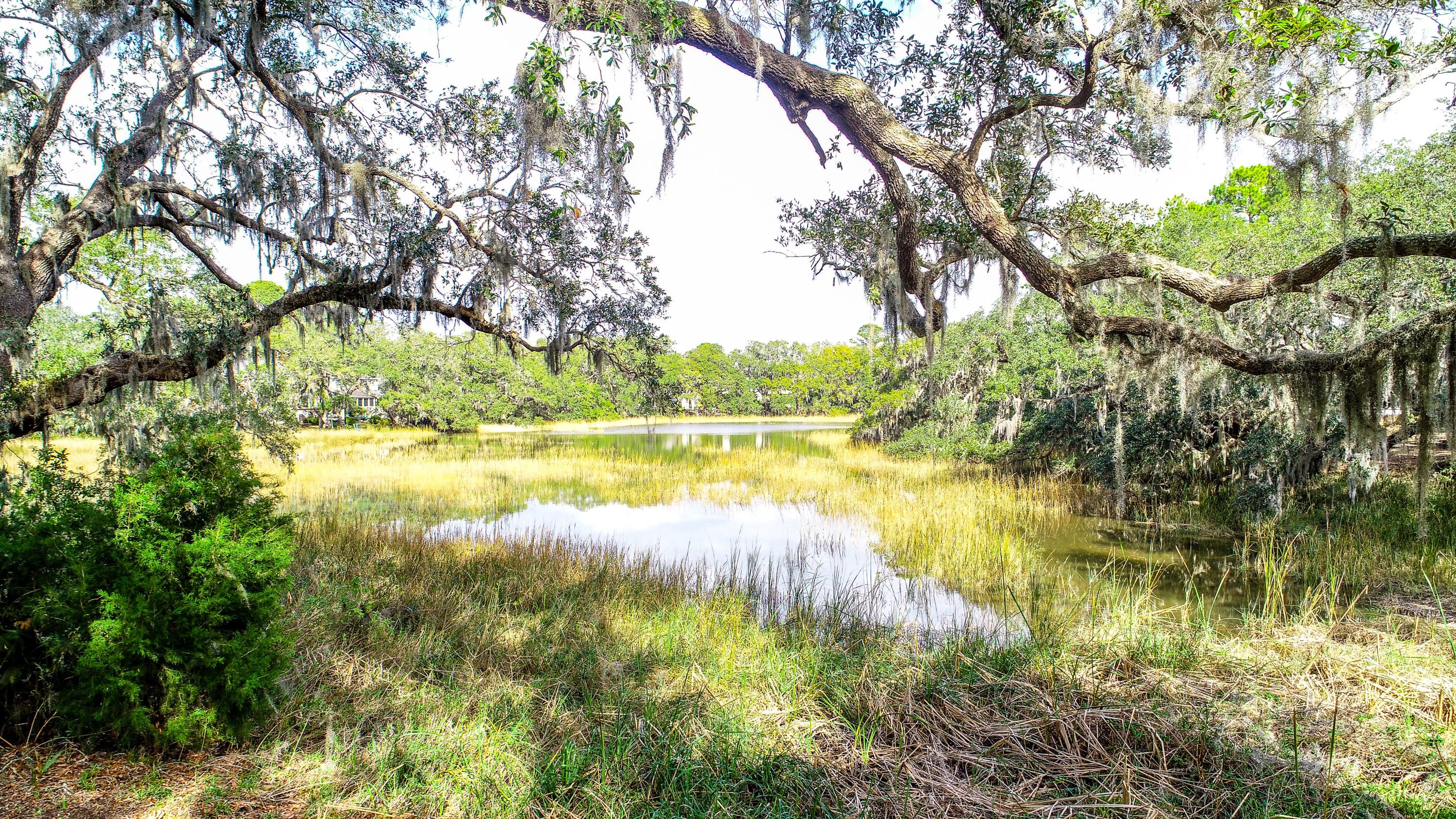 921 Cotton House Road Charleston, SC 29412 - Photo 40 of 47 37