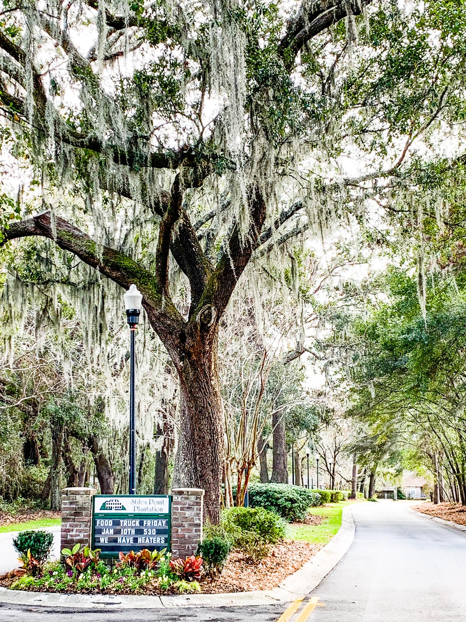 921 Cotton House Road Charleston, SC 29412 - Photo 46 of 47 43
