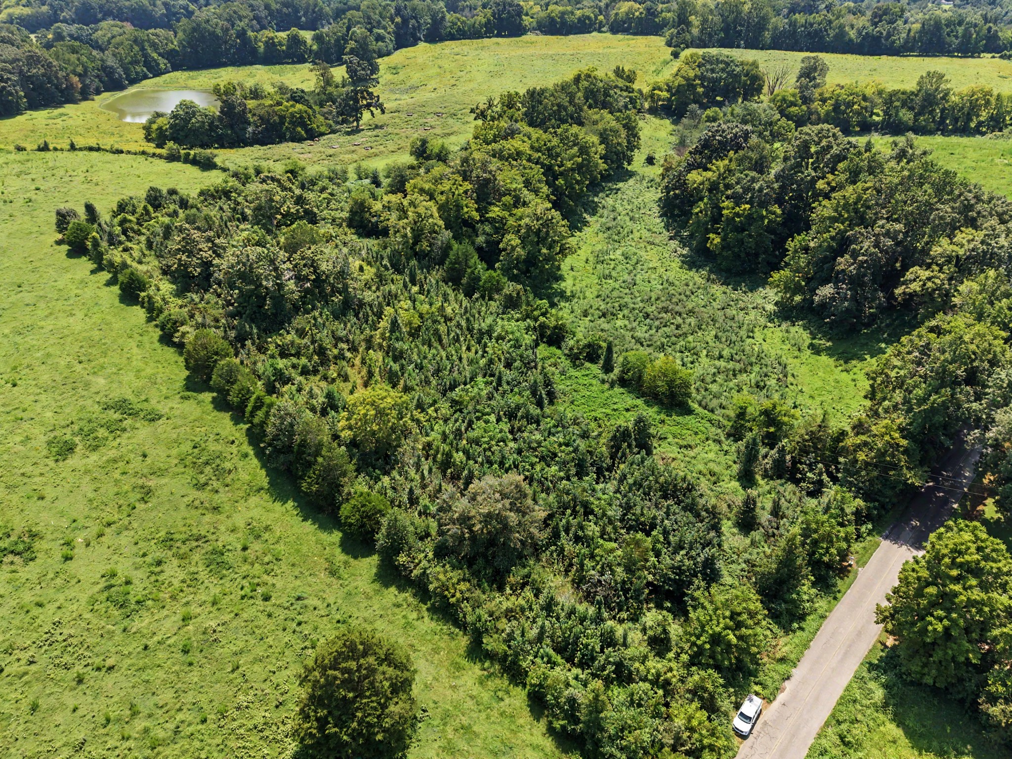 706 Liberty Road Prospect, TN 38477 - Photo 1 of 14 Gallery Image 1