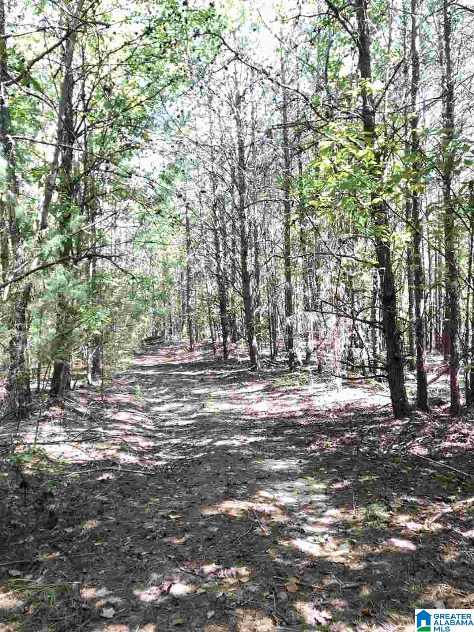 5735 Miles Spring Road Pinson, AL 35126 - Photo 2 of 14