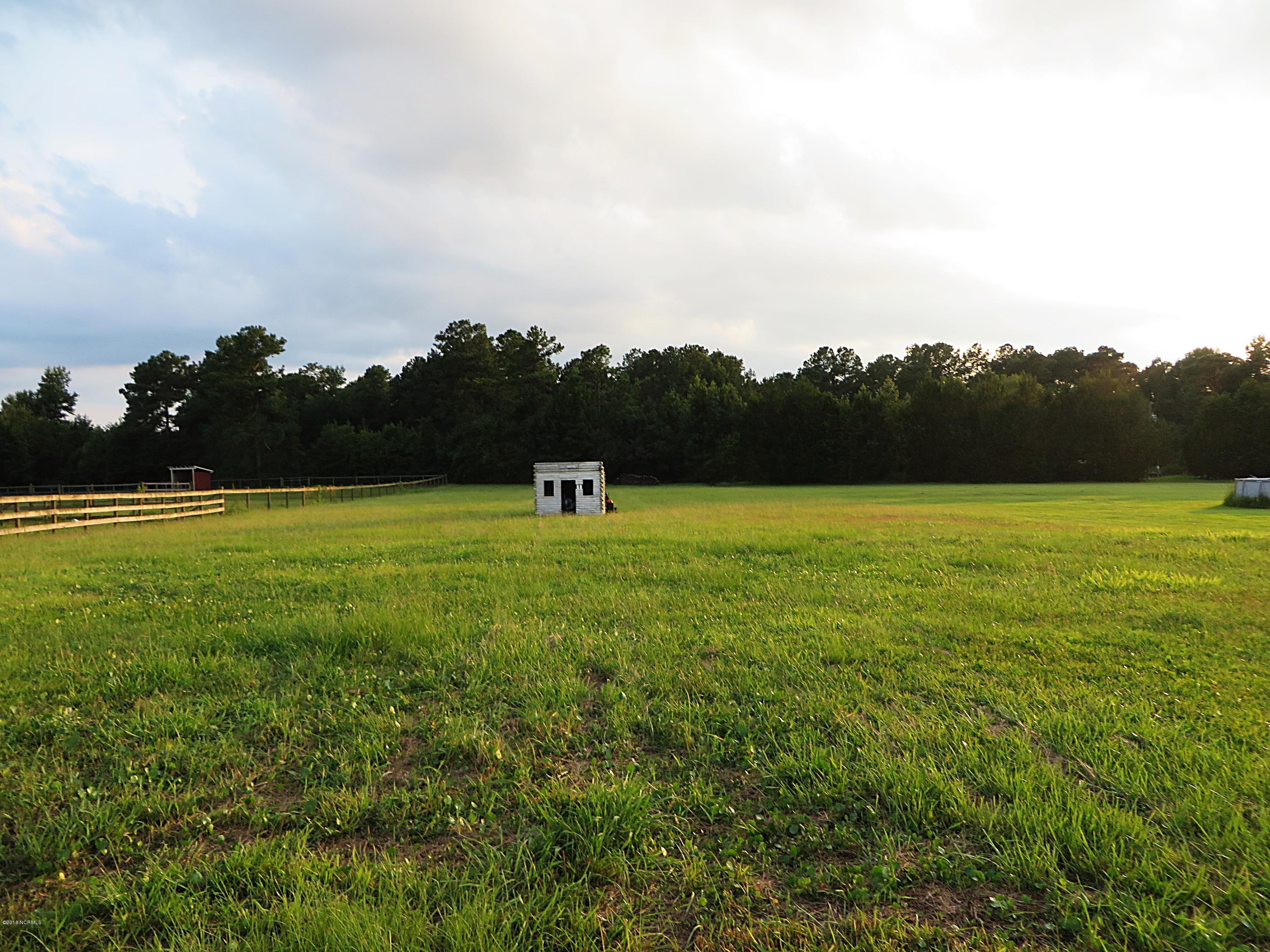 711 Batchelor Road Richlands, NC 28574 - Photo 22 of 23 Huge Backyard