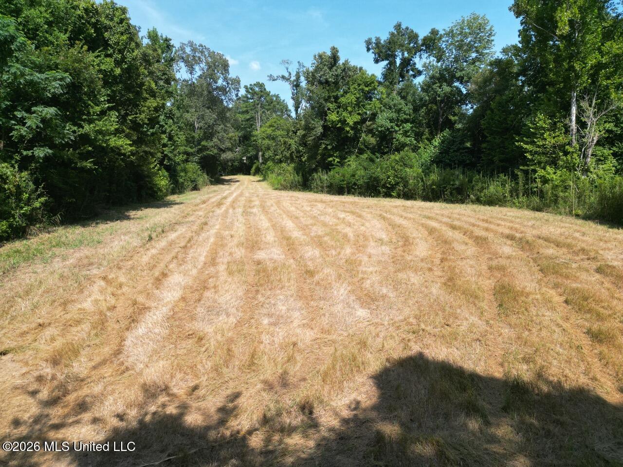 Well's Road Fayette, MS 39069 - Photo 1 of 45 DJI_0486 Large